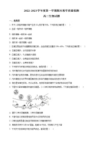 2023咸阳高二上学期期末生物试题含答案