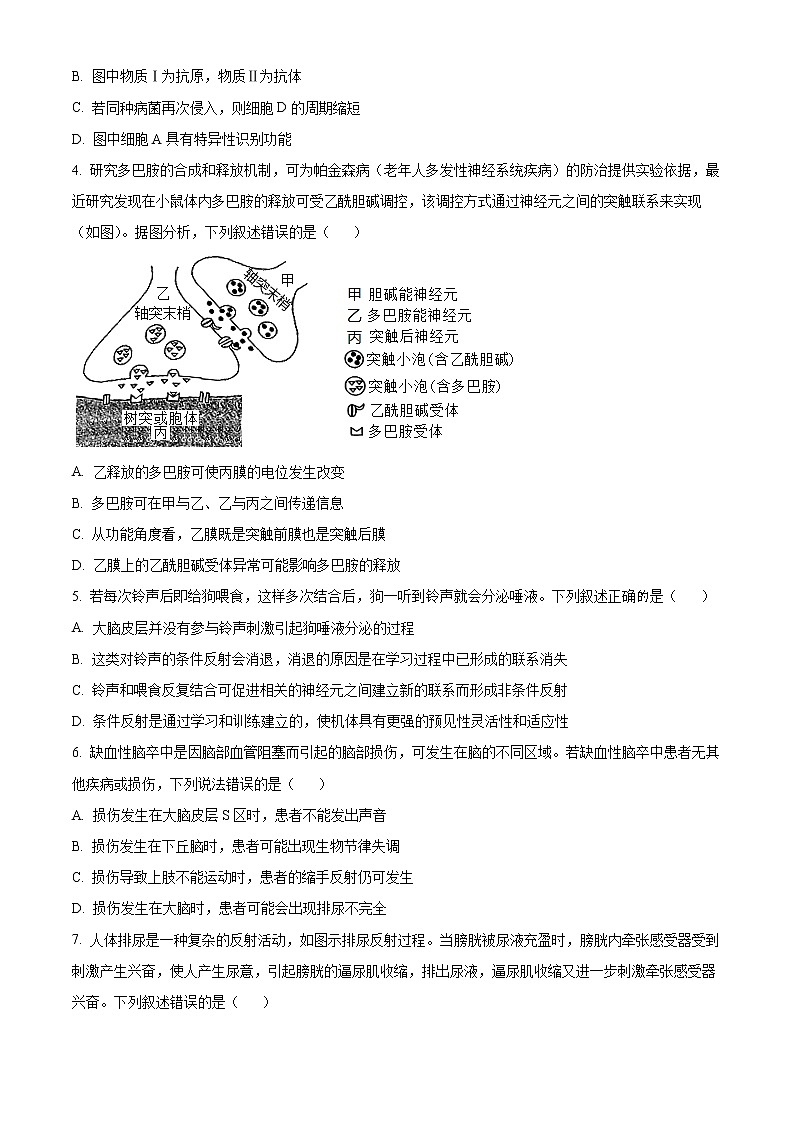 2023莆田一中高二上学期期末考试生物试题含答案02