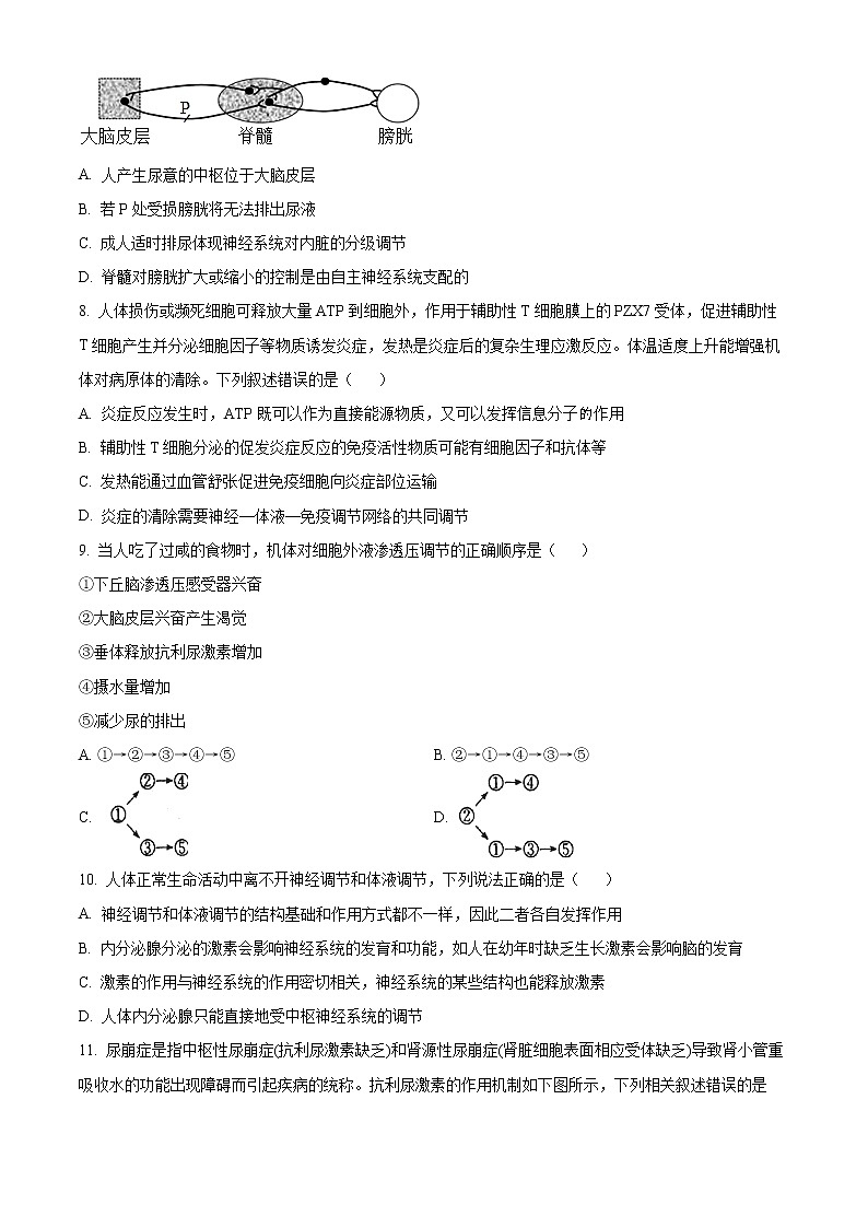 2023莆田一中高二上学期期末考试生物试题含答案03