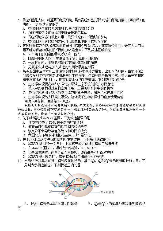 2023丽水高二上学期期末生物试题含答案02