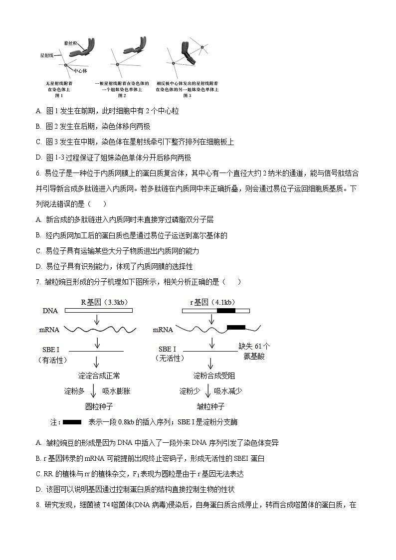 浙江省绍兴市诸暨市2022-2023学年高二上学期期末检测生物试题无答案第2页