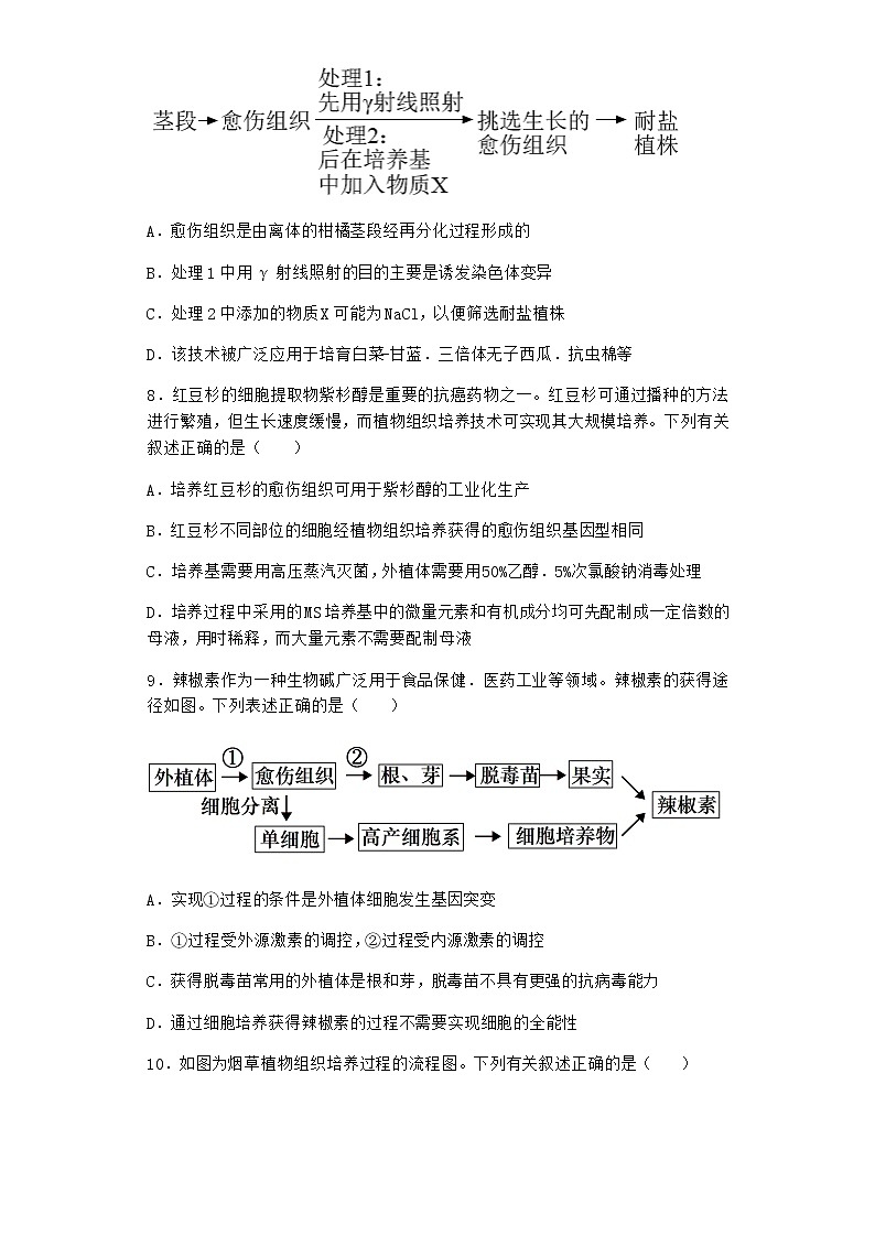 北师大版高中生物选择性必修3第一节植物细胞工程课时作业含答案103