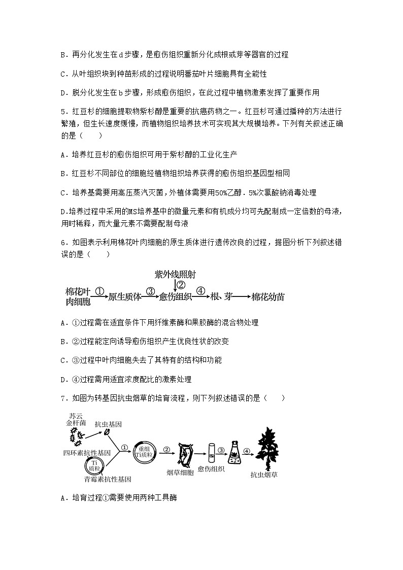 北师大版高中生物选择性必修3第一节植物细胞工程课时作业含答案2第2页