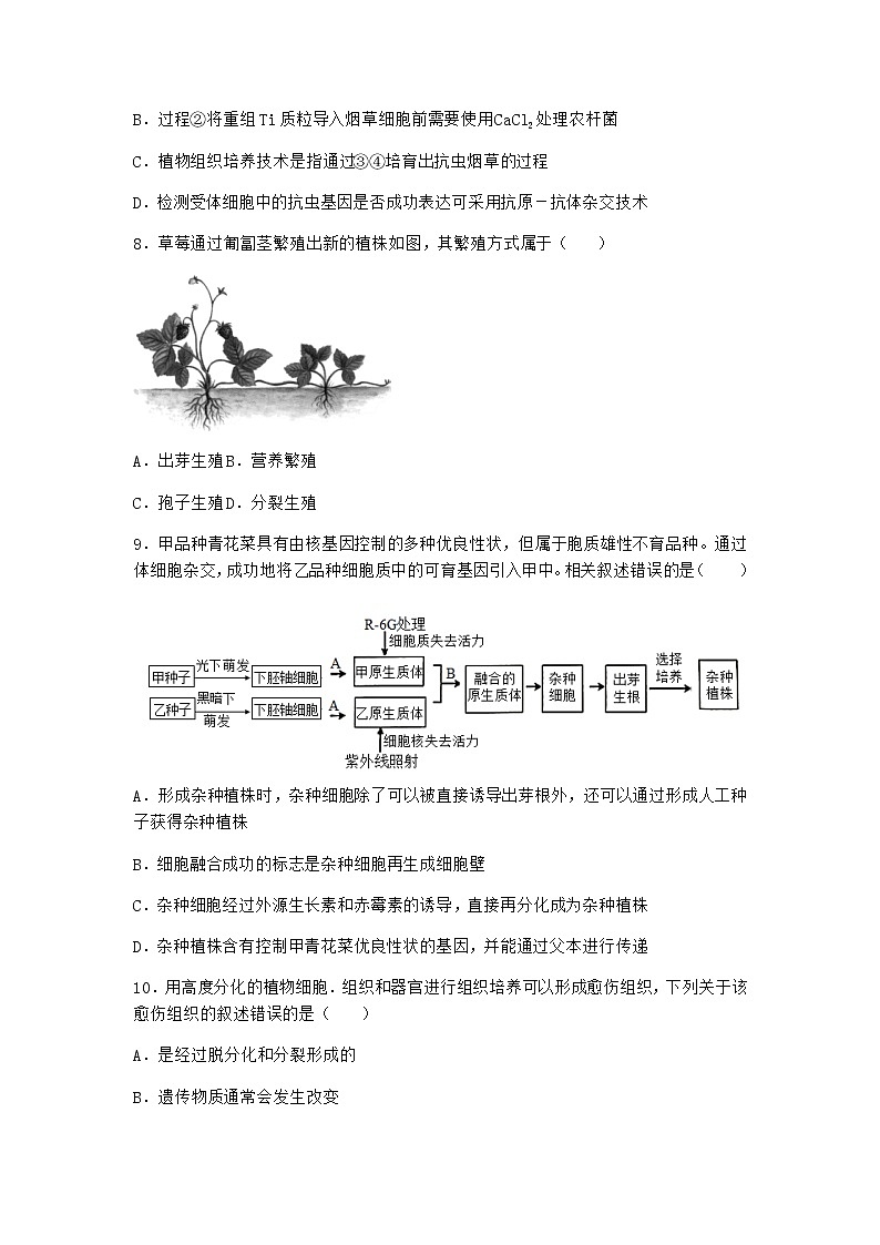 北师大版高中生物选择性必修3第一节植物细胞工程课时作业含答案2第3页