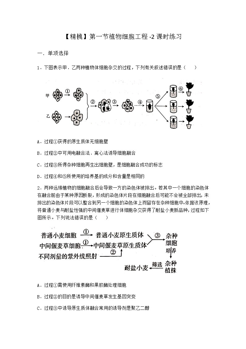 北师大版高中生物选择性必修3第一节植物细胞工程课时作业含答案301