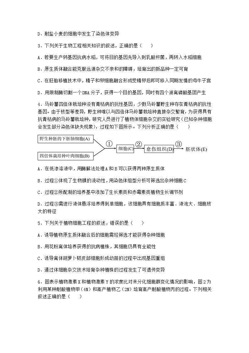北师大版高中生物选择性必修3第一节植物细胞工程课时作业含答案302
