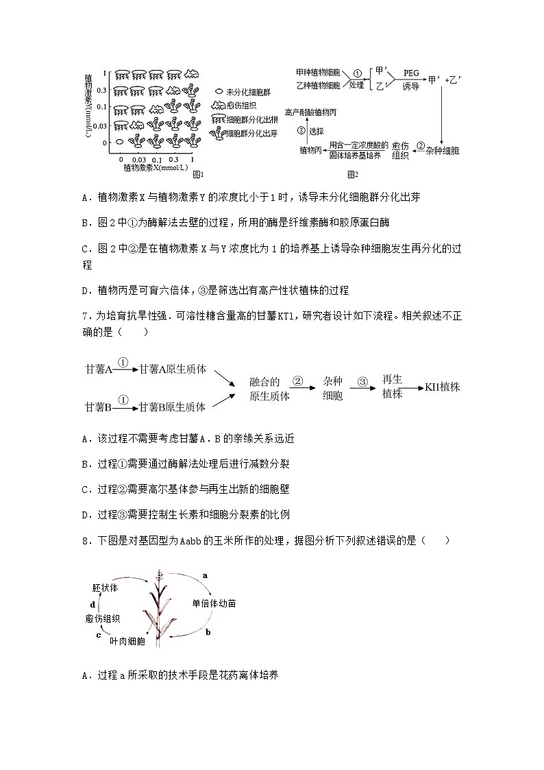 北师大版高中生物选择性必修3第一节植物细胞工程课时作业含答案303