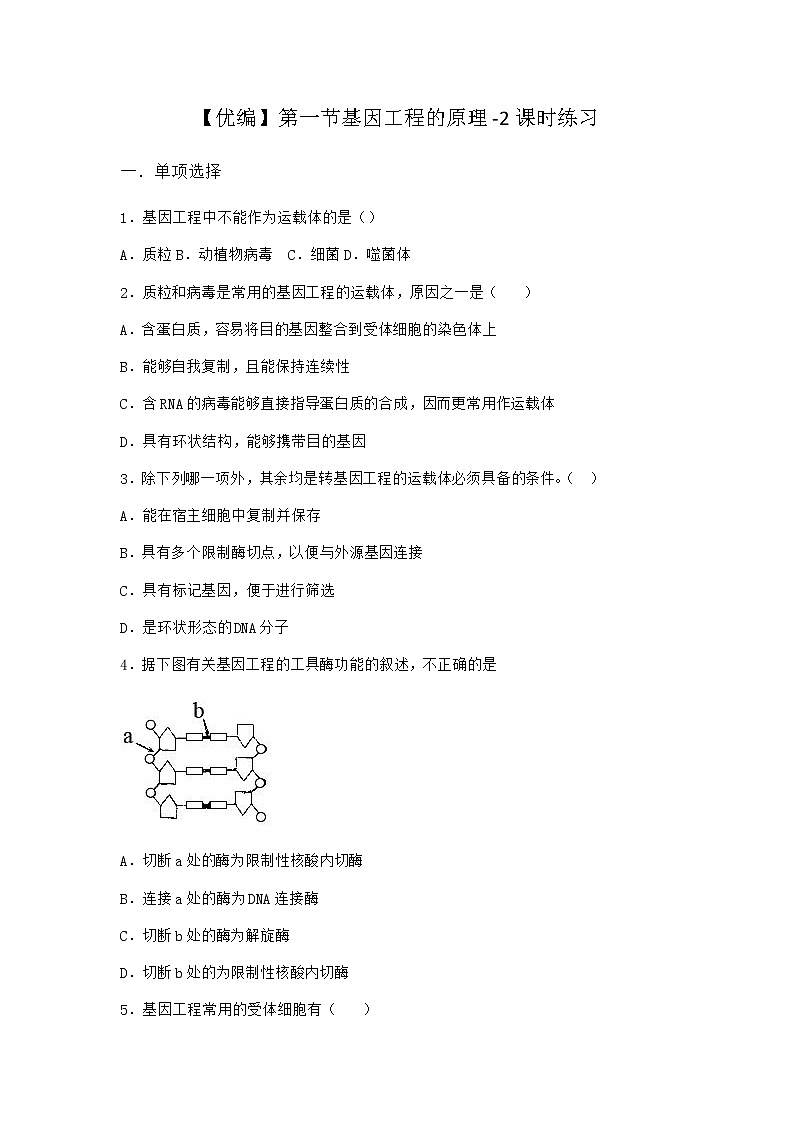 北师大版高中生物选择性必修3第一节基因工程的原理课时作业含答案401