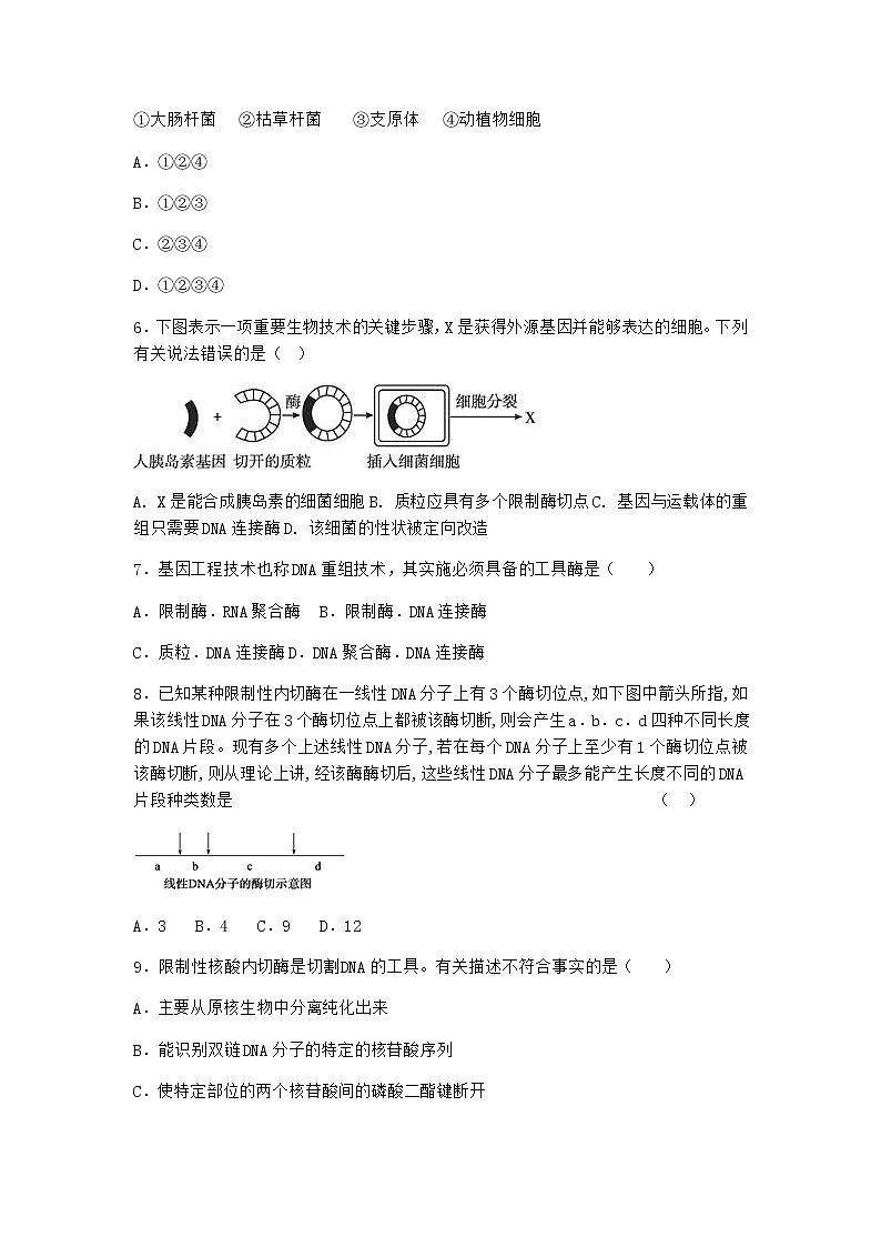 北师大版高中生物选择性必修3第一节基因工程的原理课时作业含答案402