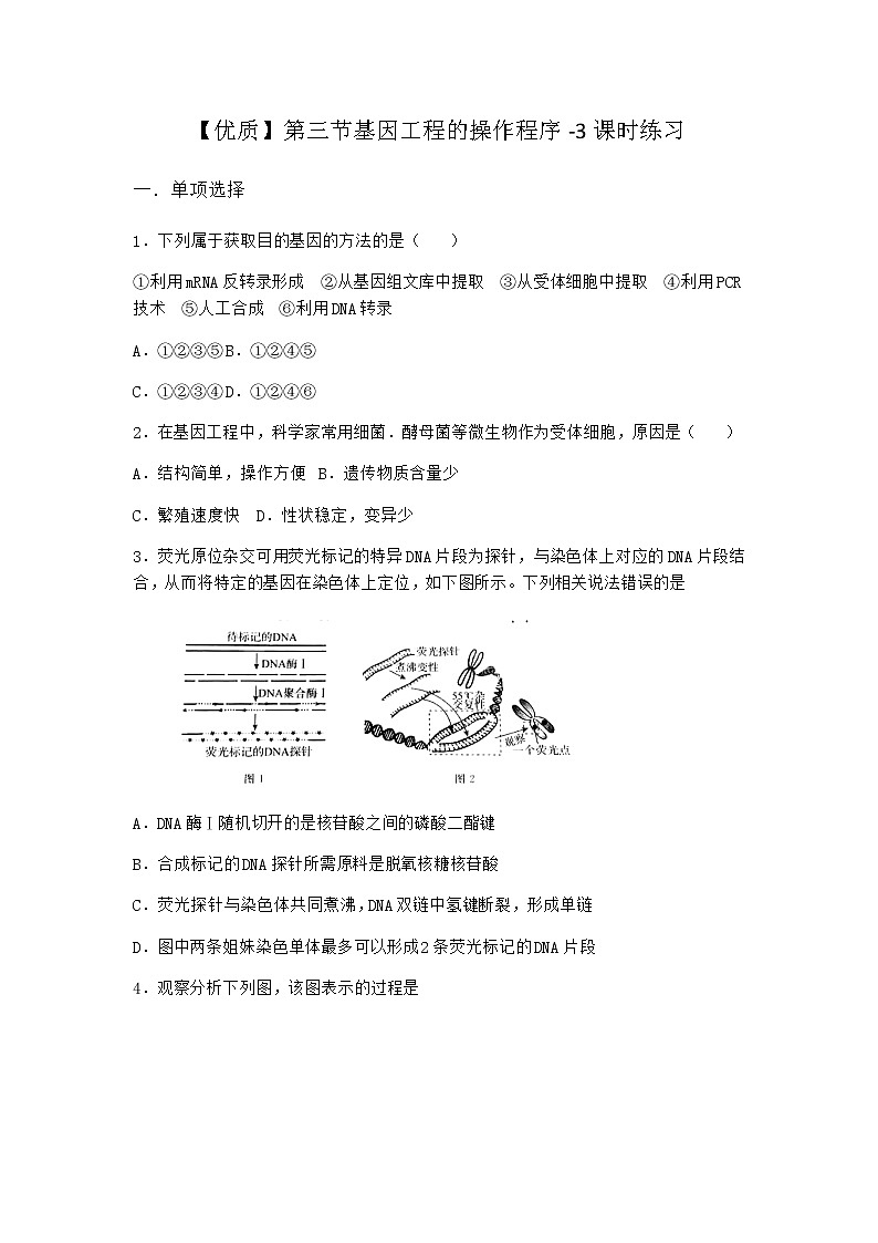 北师大版高中生物选择性必修3第三节基因工程的操作程序课时作业含答案101