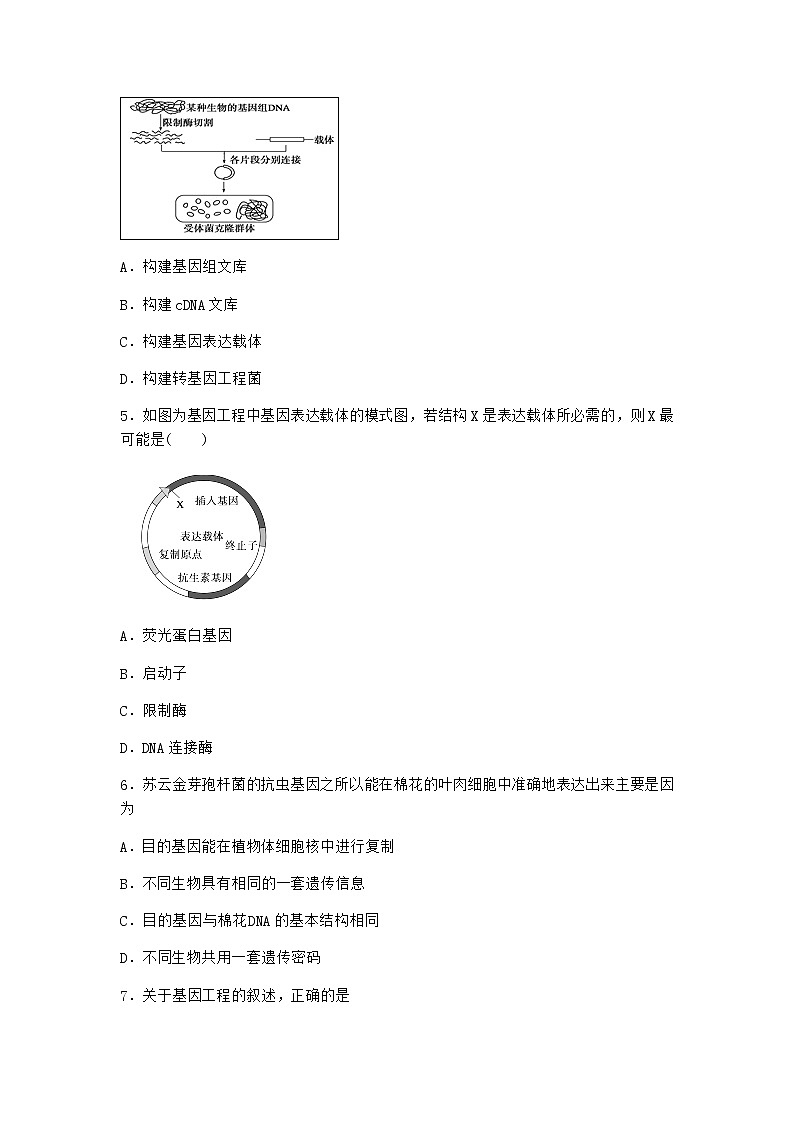 北师大版高中生物选择性必修3第三节基因工程的操作程序课时作业含答案102