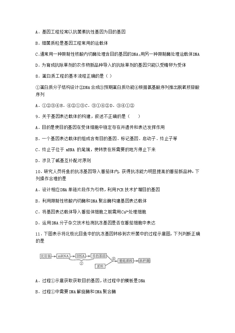 北师大版高中生物选择性必修3第三节基因工程的操作程序课时作业含答案103