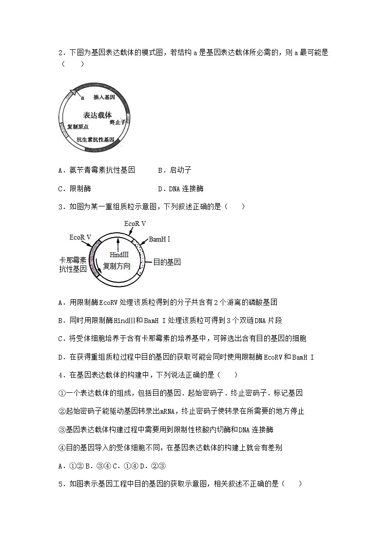 北师大版高中生物选择性必修3第三节基因工程的操作程序课时作业含答案302