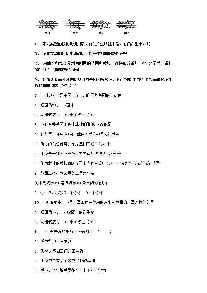 北师大版高中生物选择性必修3第二节基因工程的基本工具课时作业含答案302