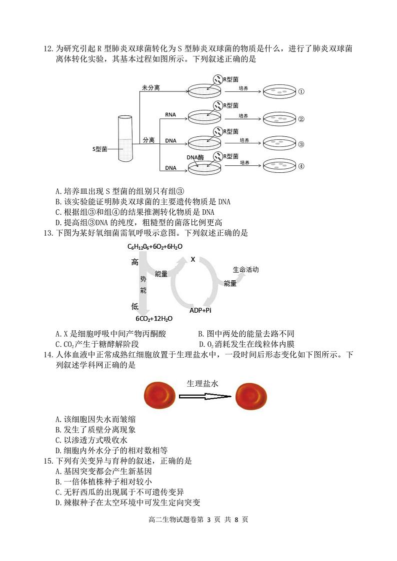 2020-2021学年浙江省丽水市高二上学期期末教学质量监控生物试题 PDF版03