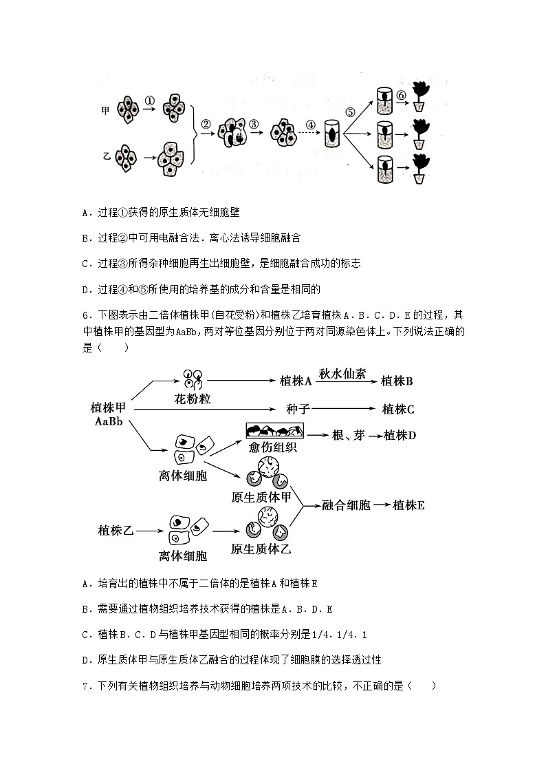 北师大版高中生物选择性必修3第一节植物细胞工程作业含答案4第2页