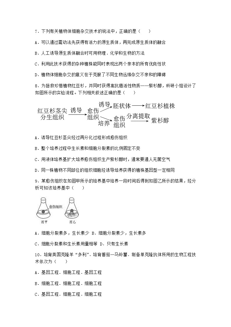 北师大版高中生物选择性必修3第一节植物细胞工程作业含答案8第3页