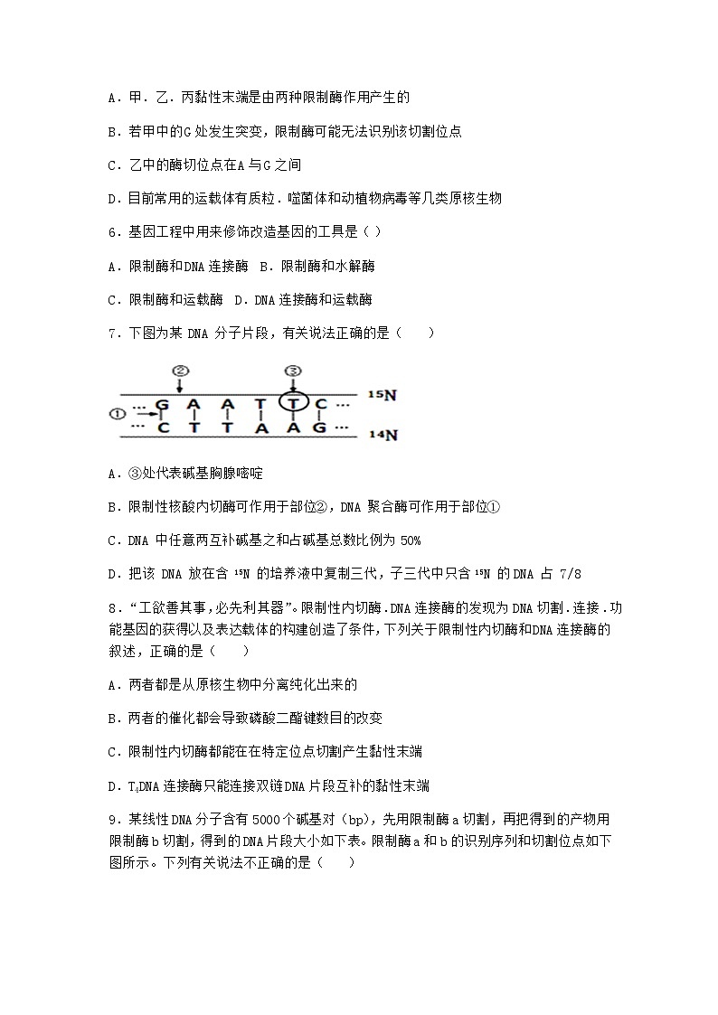 北师大版高中生物选择性必修3第一节基因工程的原理作业含答案202
