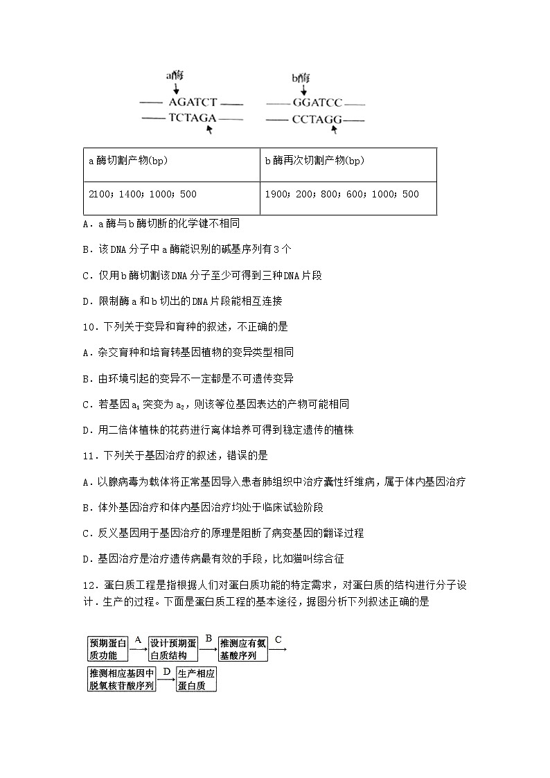北师大版高中生物选择性必修3第二节基因工程的基本工具作业含答案203