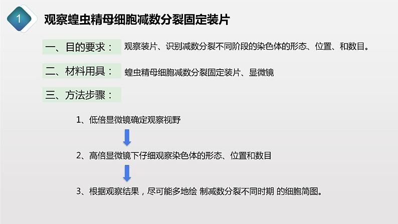 2.1.3 观察蝗虫精母细胞减数分裂装片、配子中染色体组合的多样性以及受精作用课件PPT02