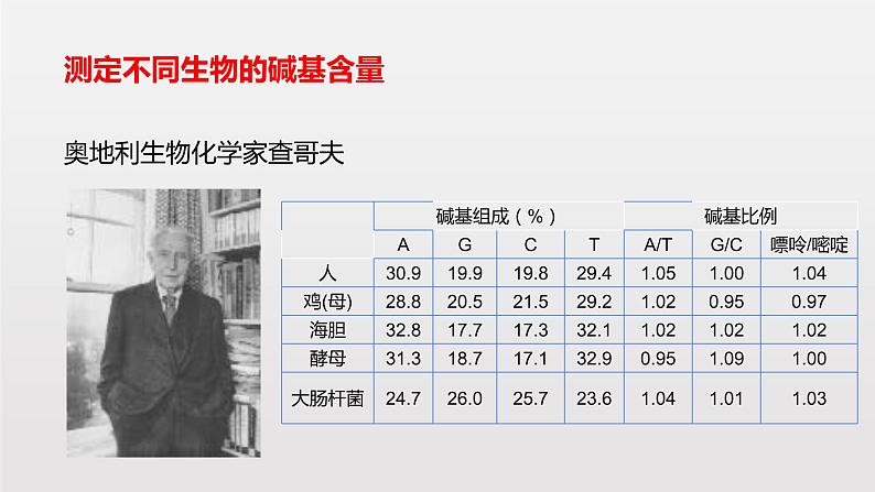 3.2 DNA的结构课件PPT05