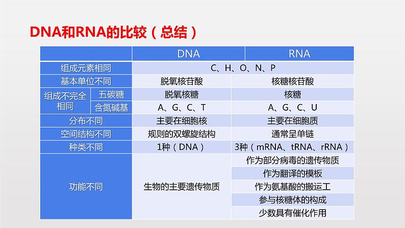 4.1 基因指导蛋白质的合成课件PPT第7页