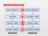 4.2 基因表达与性状的关系课件PPT