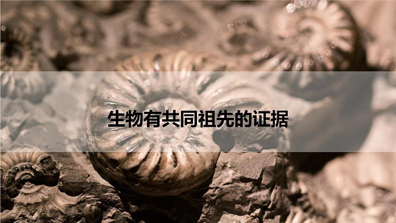 6.1 生物有共同祖先的证据课件PPT01