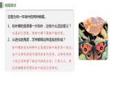 6.2 自然选择与适应的形成课件PPT