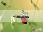 6.3.1 种群基因组成的变化课件PPT