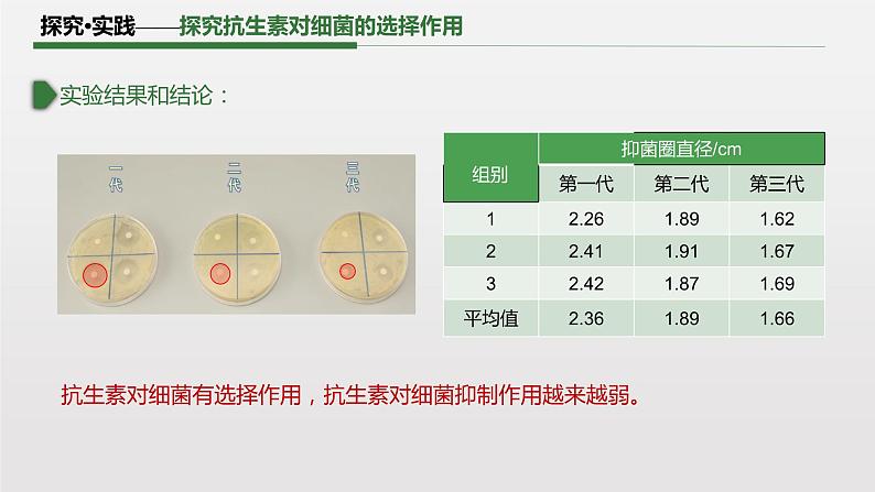 6.3.2 隔离在物种形成中的作用课件PPT07