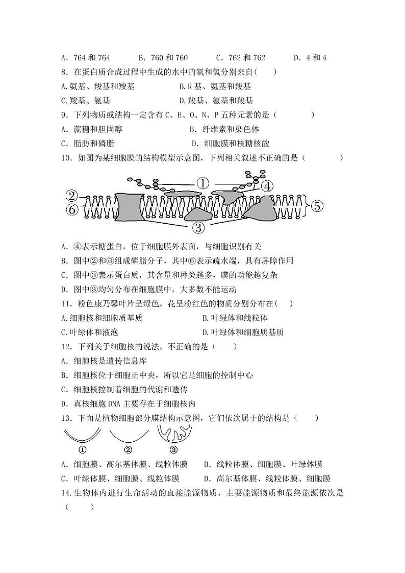 2023贵州省江口中学高一下学期开学考试生物试卷第2页