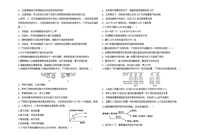 2023乌鲁木齐八中高一下学期第一次质量检测（开学摸底）生物试题含答案03