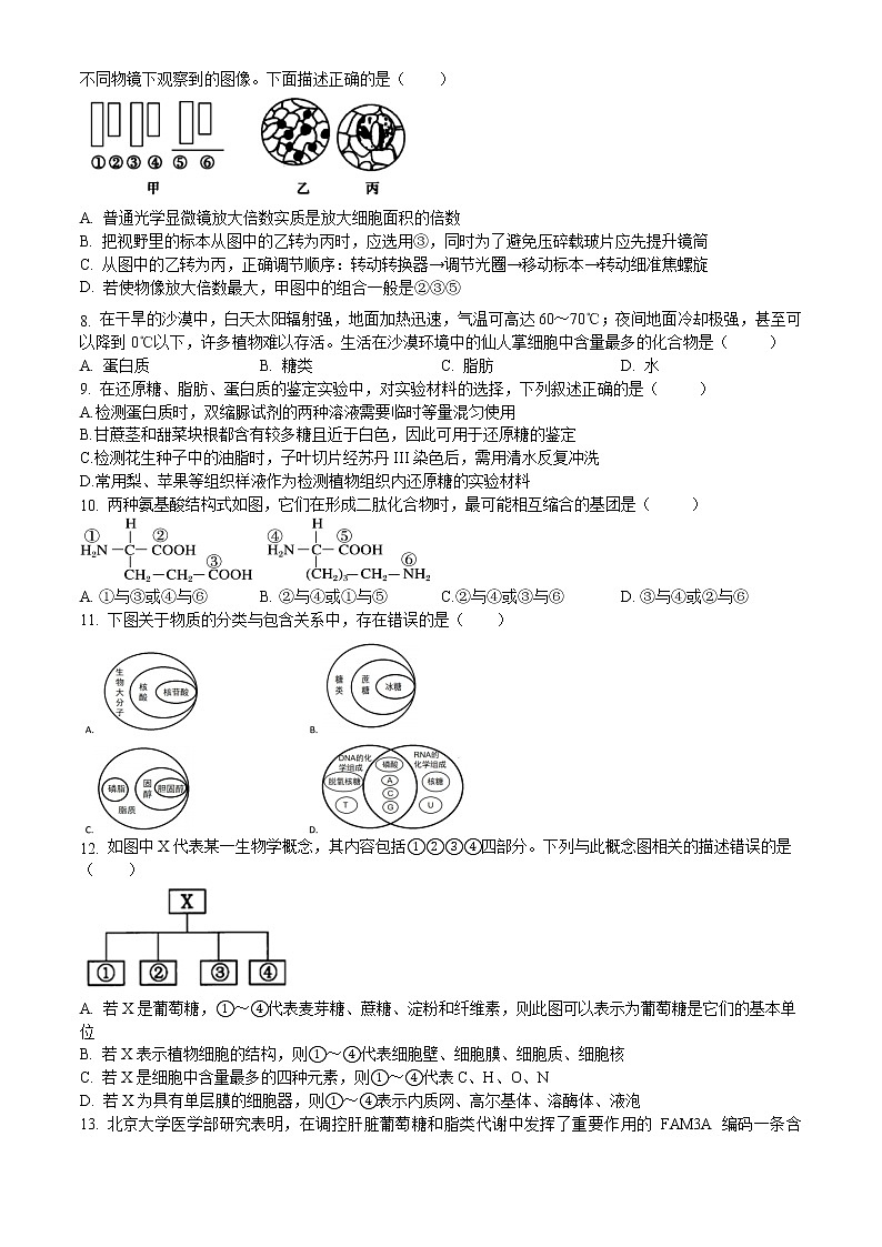 2023莆田一中高一上学期期末考试生物试题含答案02