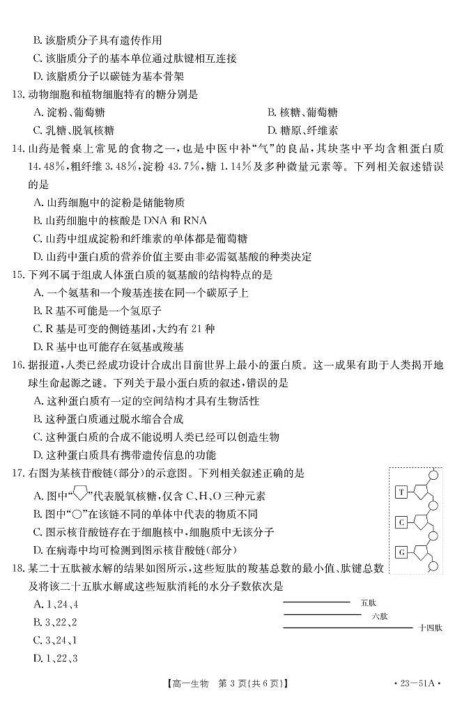 2023新疆高一上学期期中联考生物试题扫描版含答案03