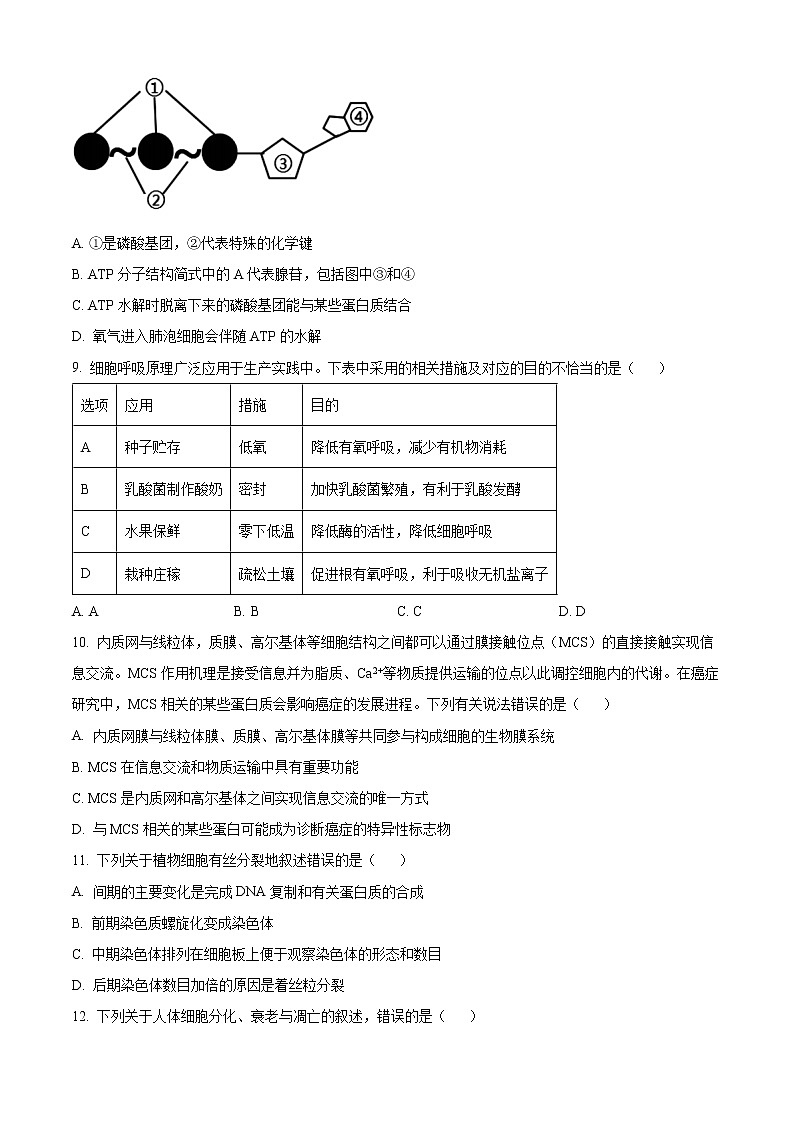 2023郴州教研联盟高一上学期期末联考试题生物含答案第3页