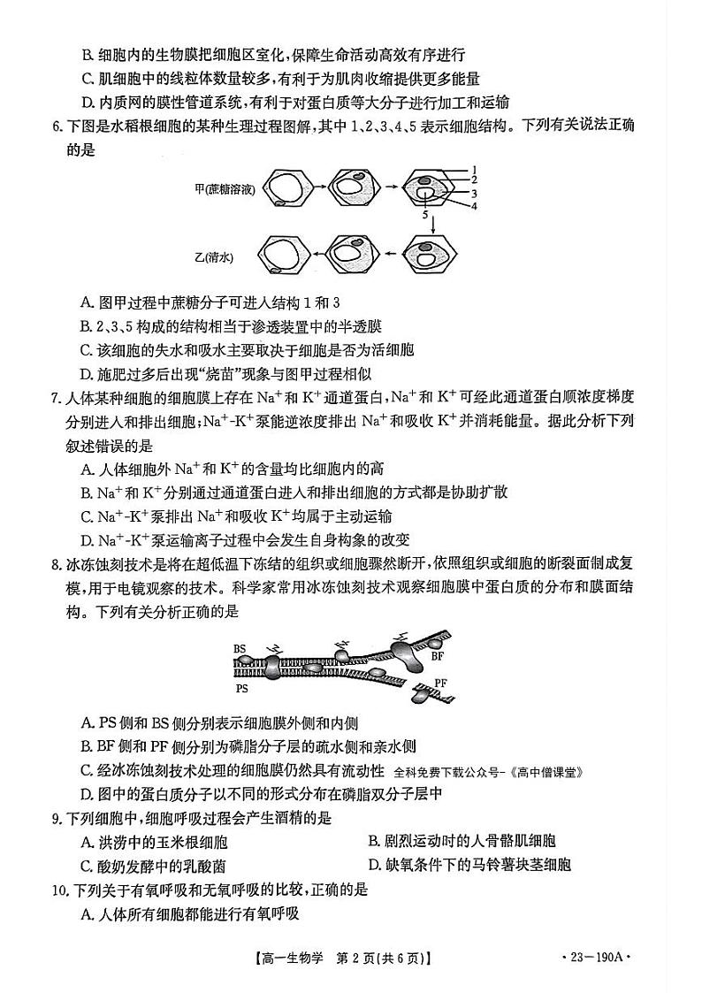 2023清远高一上学期2月期末考试生物PDF版无答案02