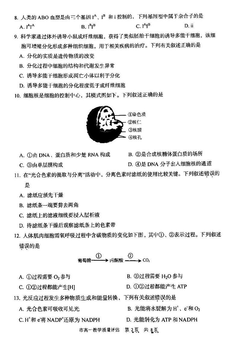 2023台州高一上学期期末考试生物PDF版含答案02