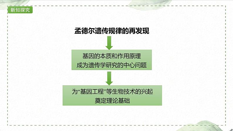 1.2.2 对自由组合现象解释的验证和自由组合定律课件PPT第8页