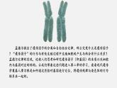 第一节 减数分裂和受精作用课件PPT