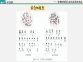第三节  伴性遗传课件PPT