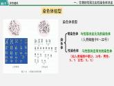 第三节  伴性遗传课件PPT