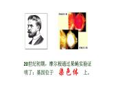 第一节  DNA是主要的遗传物质课件PPT