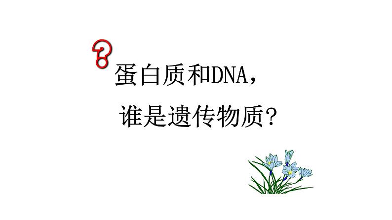 第一节  DNA是主要的遗传物质课件PPT07