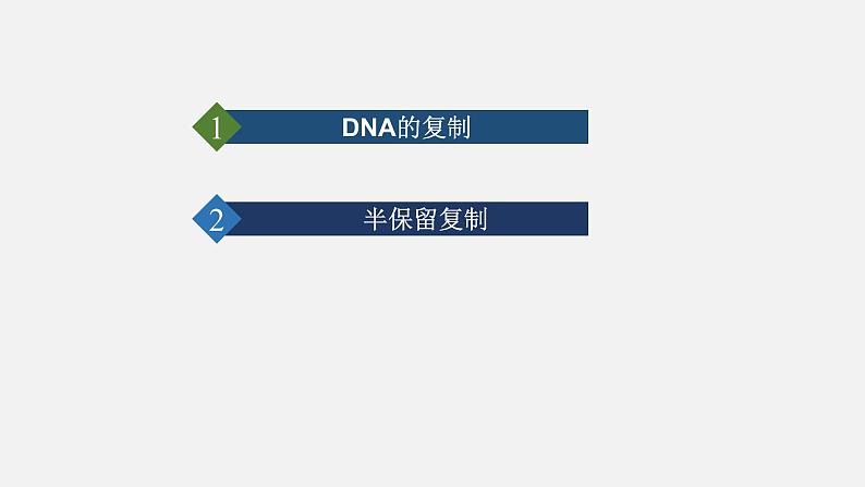 第三节  DNA的复制课件PPT第3页