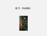 第二节  DNA的结构课件PPT