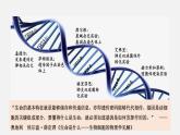 第二节  DNA的结构课件PPT
