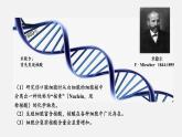 第二节  DNA的结构课件PPT
