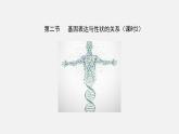 第二节  基因表达与性状的关系（课时2）课件PPT