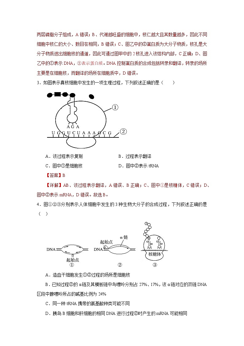 第一节  基因指导蛋白质的合成（解析版）第2页